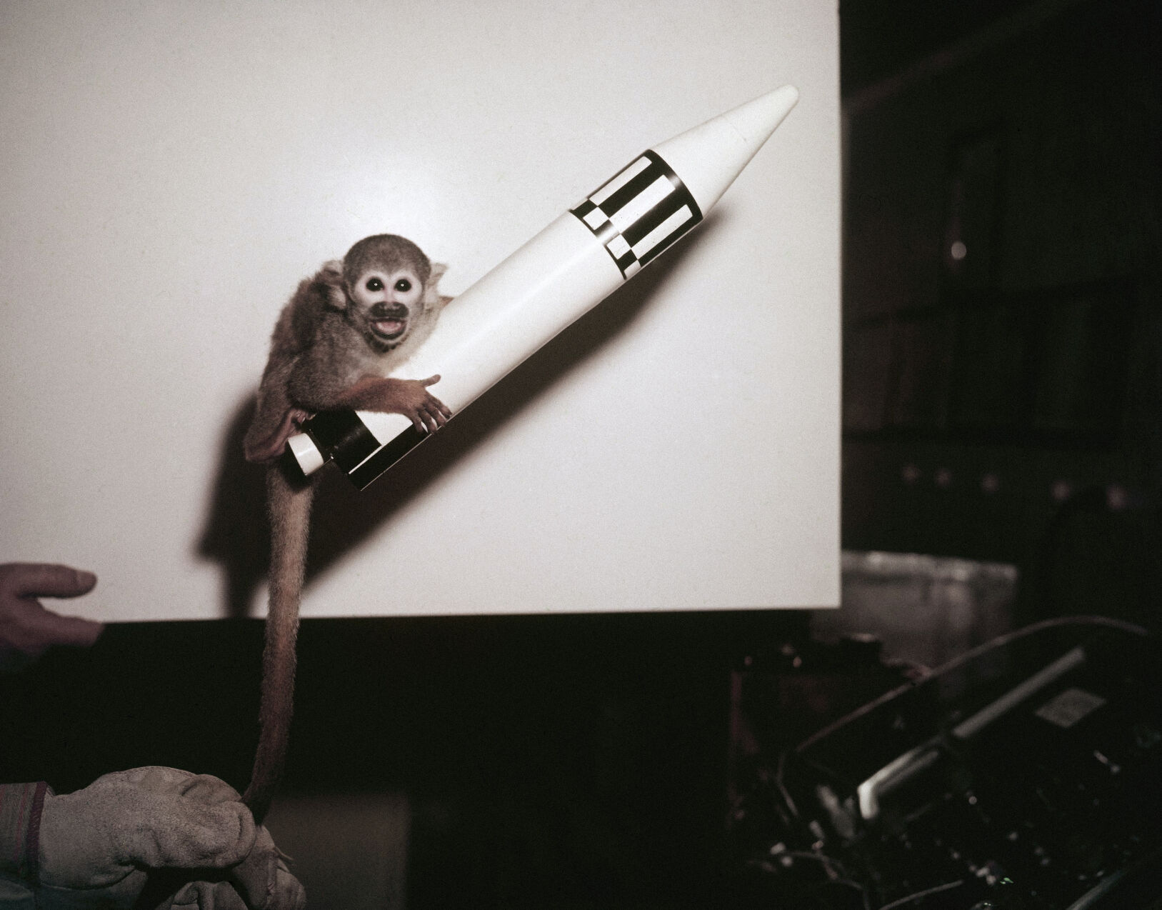 1959: Space Monkeys